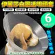 【&#128049;&#128054;培&#33747;寵物48H出貨&#128048;&#128057;】dyy》伊麗莎白圈透明頭套6號38cm(蝦)