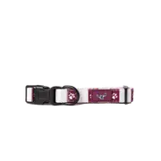 Manly Sea Eagles NRL Dog Collar