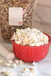 Kauffman Orchards Rainbow Popcorn Kernels in Bulk