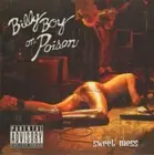 Billy Boy On Poison(CD Album)Sweet Mess-Ironworks-IRON 187-2008-New