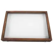 Insect Specimen Box Dried Flower Storage Case Container Display