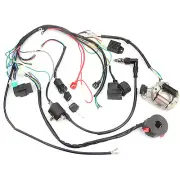 New CDI Ignition Electric Start Quads Wire Harness For ATV 50/70/90/110/125CC D