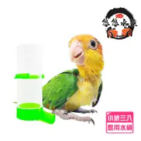 在飛比找momo購物網優惠-【YOYO 悠悠水族】鳥用飲水杯_小號_三入組(鳥用品、鳥玩