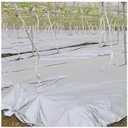 0.012mm Agricultral Silvery Reflective Film, Orchard Tee Planting Plastic Mulch Films, for Greenhouse Vegetable Care Cover (Color : Width 0.6m, Size : Length 25m)