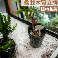 在飛比找樂天市場購物網優惠-盆栽木質立牌 植物花牌 植物標示牌 園藝標示牌 植物名牌 園