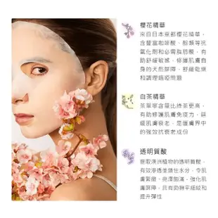 【Snow Fox Skincare】京都櫻花白茶面膜(5片組)