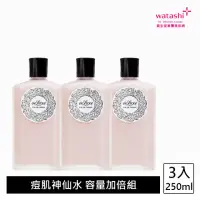 在飛比找momo購物網優惠-【SHISEIDO 資生堂】嘉美艷容露 250mL(加大版 