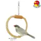 MY PET BIRD 粗麻繩一體成型鳥鞦韆 W506