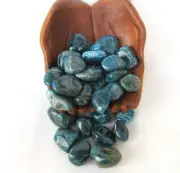 One Apatite Tumbled Stones 30mm Reiki Healing Crystal Appetite Suppression Dings
