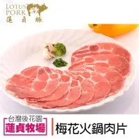 在飛比找PChome24h購物優惠-【蓮貞豚】梅花火鍋肉片 (250g-包)