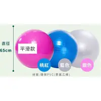 在飛比找Yahoo!奇摩拍賣優惠-熱銷 防爆運動彈力 瑜珈球 彈力球 有氧瑜珈球.感覺統合球韻