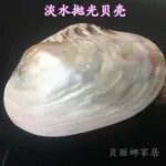 淡水貝殼天然拋光珍珠白色母貝家居工藝飾品擺件魚缸造景創意果盤