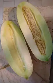 ROCKMELON 'Indian Cream Cobra' seeds
