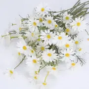 12 Bundles Artificial Flowers White Daisy UV