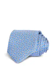 Ferragamo Silk Classic Dragonfly Tie