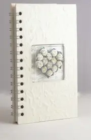 Cream Address Telephone Email Book - White Rose Heart Cover - 500+ Contact -Gift