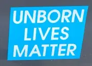 Unborn Lives Matter (magnetic car sign)