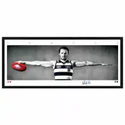 PATRICK DANGERFIELD GEELONG SIGNED FRAMED SIGNATURE SERIES WINGS PRINT