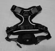Bechtel Soft Front No Pull Dog Harness Fully Adjustable Size: XS