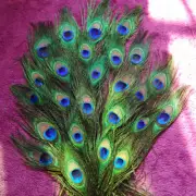 10Pcs Craft Natural Peacock Feathers Wedding Party Bouquet Decoration 10-12"