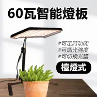 在飛比找momo購物網優惠-【JIUNPEY 君沛】60W 檯燈式智能植物燈版(植物生長