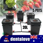 5 POTS 20L HYDROPONICS DWC COMPLETED SYSTEM DEEP WATER CULTURE ROOTS GROW BUCKET