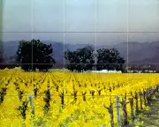 Art European Winery Ceramic Mural Grapes Backsplash Kitchen Tile Decor #193