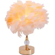 LVD USB Lamp Home/Room Tabletop Display Decor 32x23cm Feather Champagne