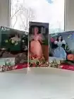 Barbie/Ken And The Wizard Of Oz Dolls Bulk Lot, Scarecrow, Dorothy, Glinda