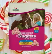 Manna Pro Bite-Size Nuggets Peppermint Flavored Horse Training Treats