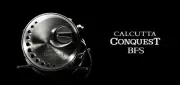 Shimano Bait Reel 23Calcutta Conquest Bfs Hg Calcutta Right Handle 21