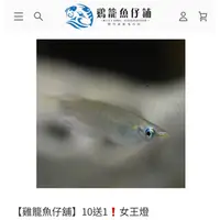 在飛比找蝦皮購物優惠-【雞籠魚仔舖】10送1❗️女王燈海報 海鮮食材 油炸料理