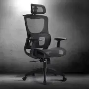 Furb Ergonomic Office Chair with Breathable Mesh, Adjustable Headrest High Back
