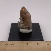 Red Topaz w/ Rutile Crystal Cluster on Matrix from San Felipe, Mexico