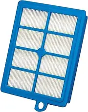 Hygieia Replacement HEPA Filter for Electrolux, Volta, Wertheim, Phillips, AEG and Tornado Vacuum Cleaners