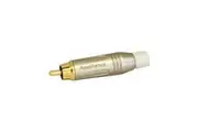 RCA Plug Amphenol White