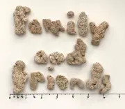 Natural Letter Shaped Stones FAMILY AND FRIENDS Beach Rocks word Pebble art hag