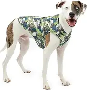 Kurgo Loft Dog Jacket, Reversible Winter Coat for Dogs, Wear with Harness or Sweater, Water Resistant, Reflective, for Small Medium Large Pets (Pressed Leaf, S)