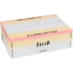 Fellr Dry & Lime Brewed Alcoholic Seltzer Can 330mL