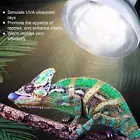 E27 Reptile Heat Lamp UVA Heat DayLight Bulbs For Tortoise Reptiles Crawling Pet