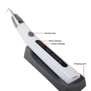Ultrasonic Dental Endo Ultra Activator Irrigator Root Canal Sacling Scaler Tips