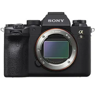 贈電池+64G高速記憶卡 SONY A9 II ILCE-9M2 單機身 公司貨 【APP下單點數 加倍】