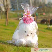 在飛比找Yahoo!奇摩拍賣優惠-##彩色娃娃袋 透明包裝袋水果籃袋 大娃娃袋塑料袋糖果袋送拉