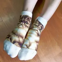 在飛比找i郵購優惠-JHJ DESIGN, 船襪/隱形襪, 貓咪系列 - 金吉拉