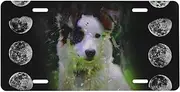 Watercolor Border Collie Dog Moon License Plate Frame for Car Universal, Animal Butterfly Flower Aluminum Car Front License Plate Cover