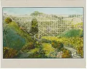HAMAKUA TRESTLE, BIG ISLAND HAND COLORED GICLEE PHOTO 1920'S? ON 8X10" MATT