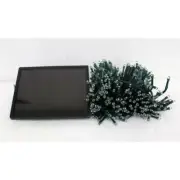 Celebrations 9465691 Solar Mini LED Light Set Warm White 16.24 ft. 100 lights