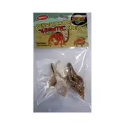 Zoo Med Hermit Crab Growth Shell
