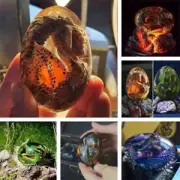 Crystal Lava Dragon Egg Ornamental Collection Children Gifts Dinosaur Egg Statue