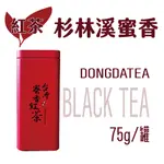 【東大茶莊】紅茶系列-杉林溪蜜香紅茶，蜜香好滋味，小綠葉蟬，高山紅茶「限量」